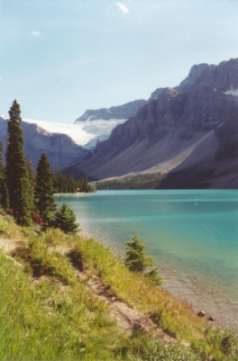 Lake along Icefields Parkway