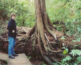 Rainforest recycling