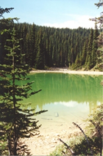 Lake along Celeste Lake Connector