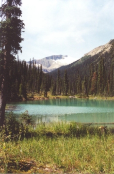 Lake along Celeste Lake Connector